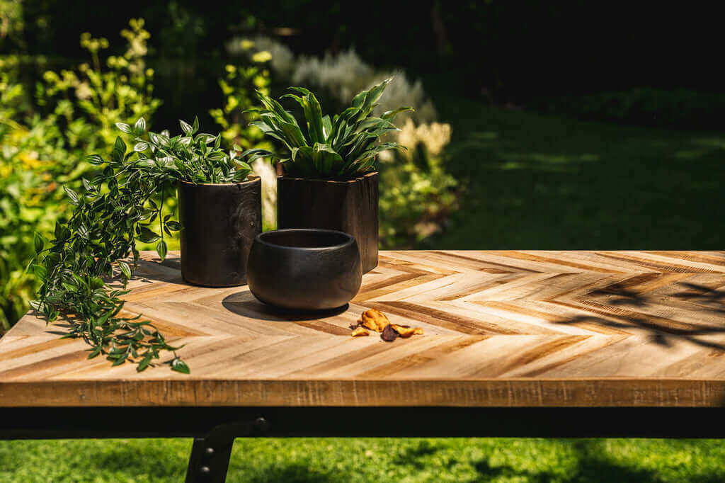 Planten in zwarte potten op een houten tafel in een groene tuin