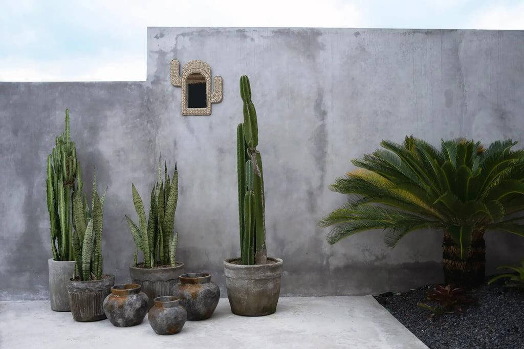 Strakke buitenruimte met betonnen muur, cactussen en varens in rustieke terracotta potten, kustvibes in overvloed.