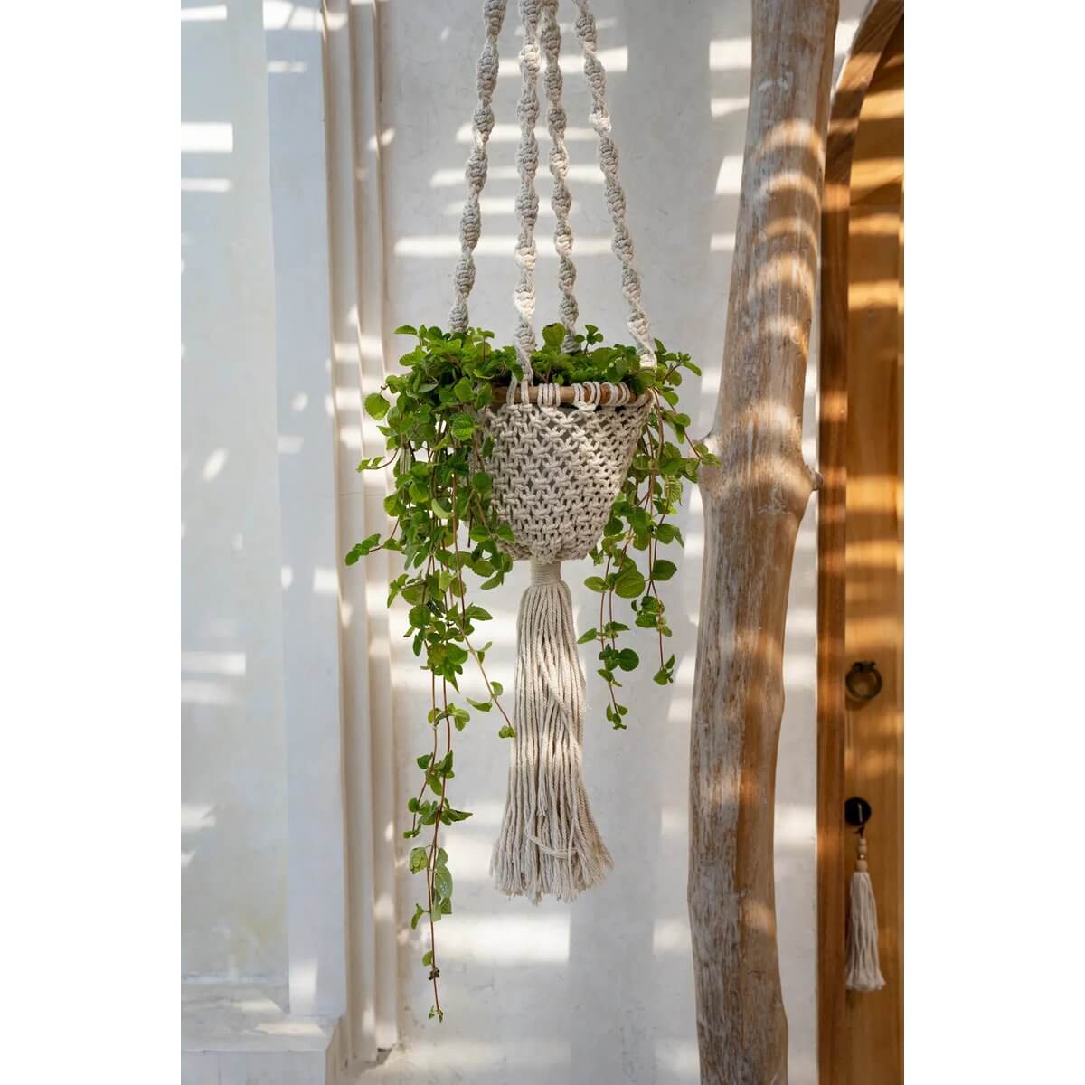 Handgemaakte gedraaide macramé plantenhouder in natuurlijk wit met groene plant, gezellig hangend in een lichte ruimte.