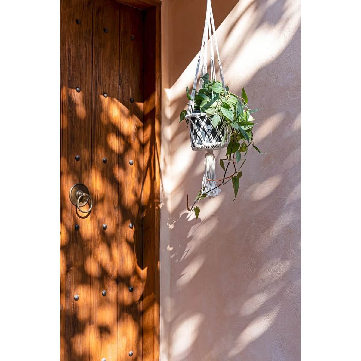 Bohemian macramé plantenhouder in het wit met groene planten, hangend voor een houten deur, zonlicht schijnt door bladeren.