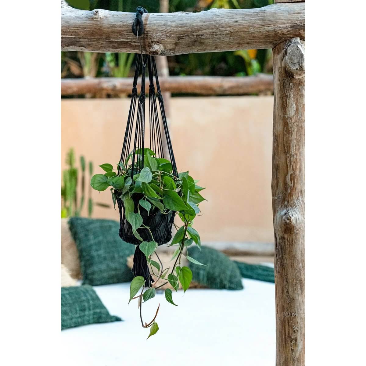 Bohemian macramé plantenhouder zwart met groene plant, perfect voor binnen- en buitenruimtes.