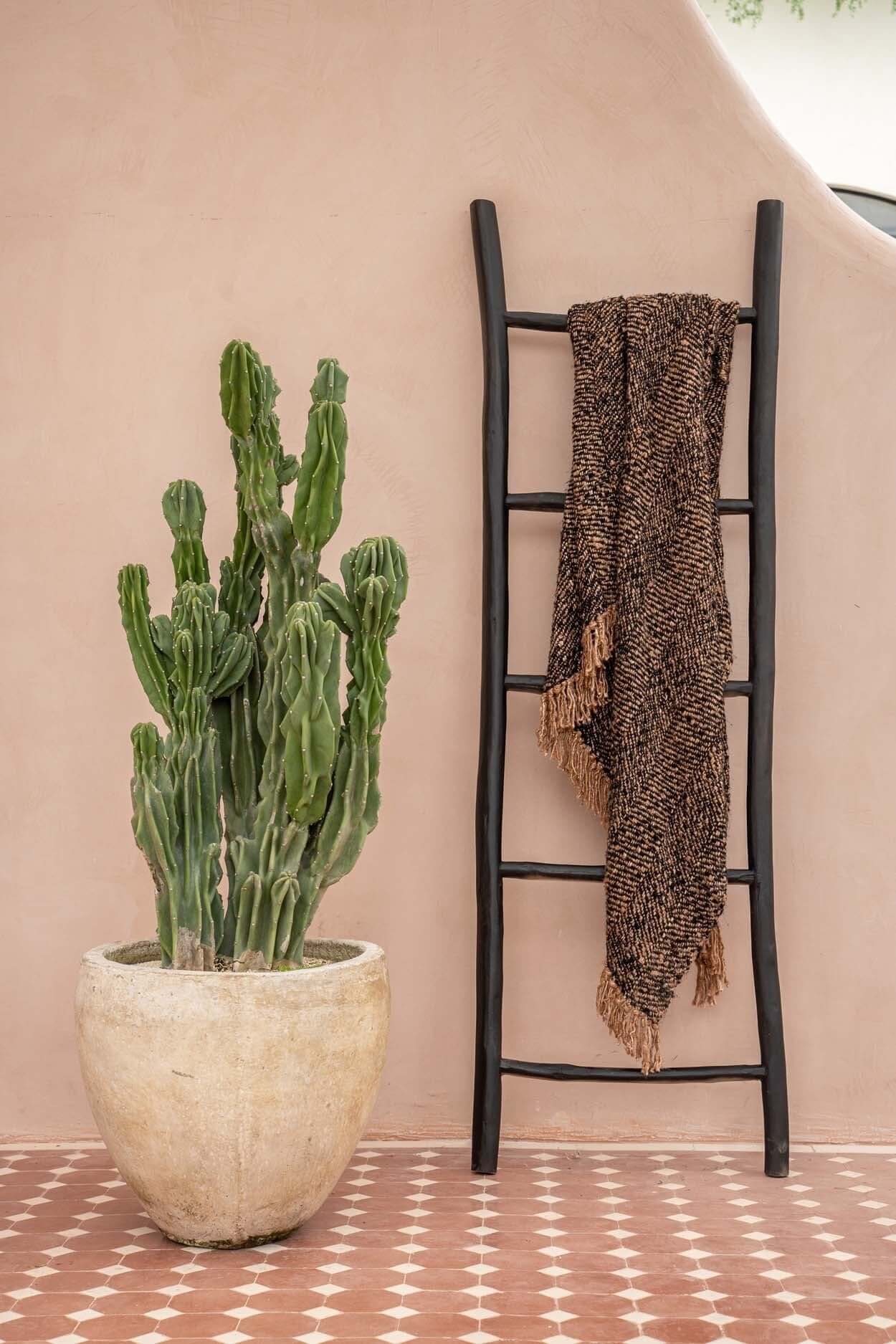 Zwarte teakhouten boho ladder met decoratieve plaid, naast een cactus in terracotta pot