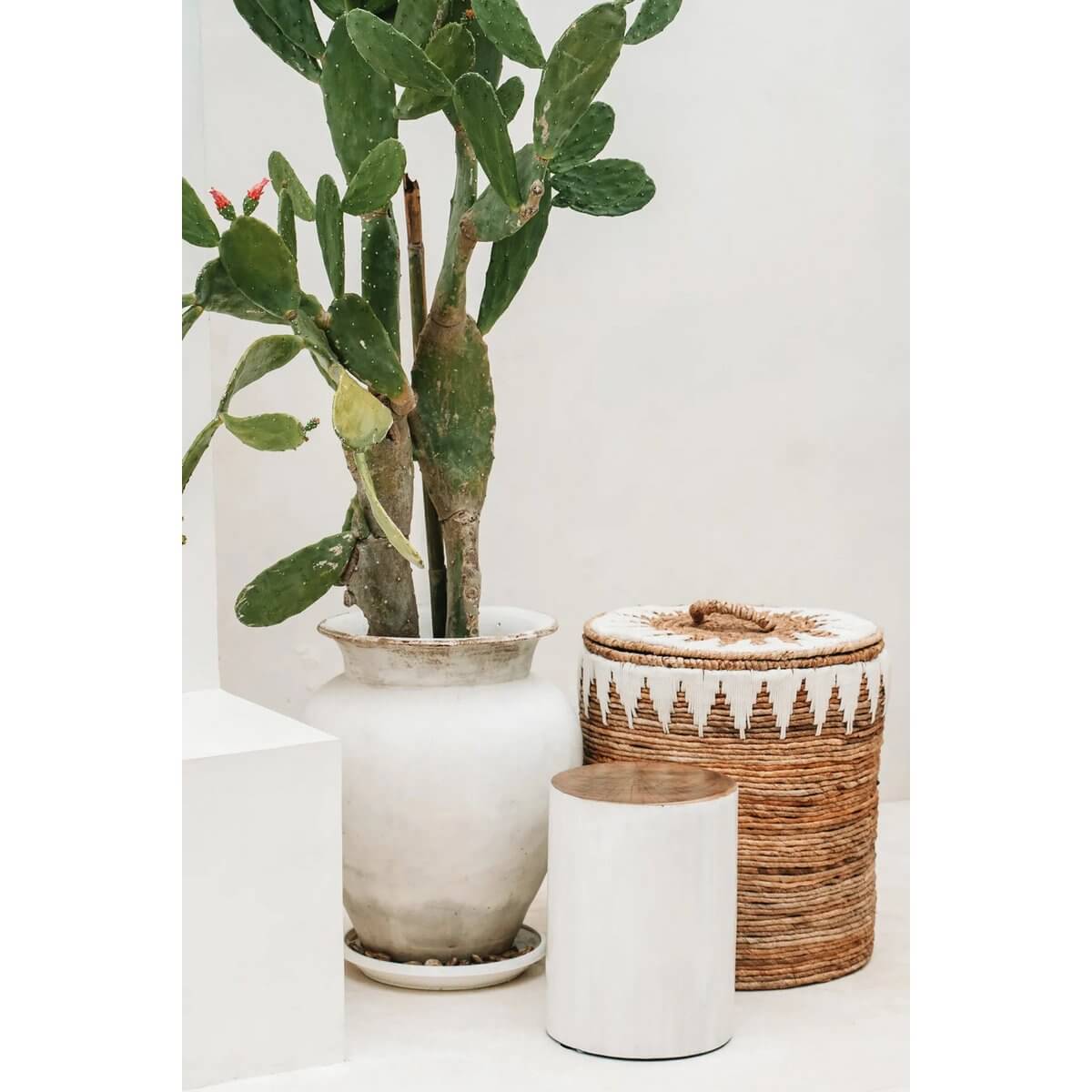 Handgeweven bananenblad wasmand met modern wit patroon naast groene plant in witte pot, biedt stijlvolle opbergruimte.