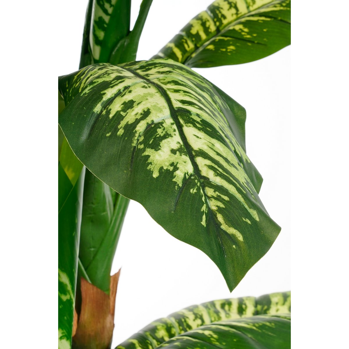 Dieffenbachia Kunstplant - H150 x Ø70 cm-Kunst planten-Mica Decorations-Ik Hout ervan.