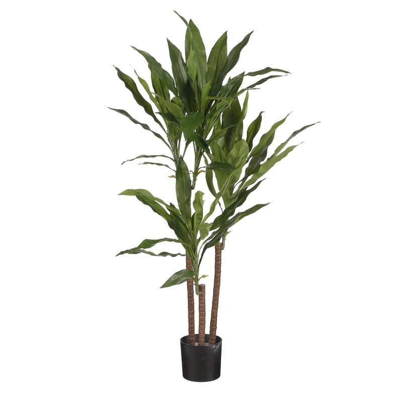 Dracaena Kunstplant - H100 x Ø70 cm-Kunst planten-Mica Decorations-Ik Hout ervan.