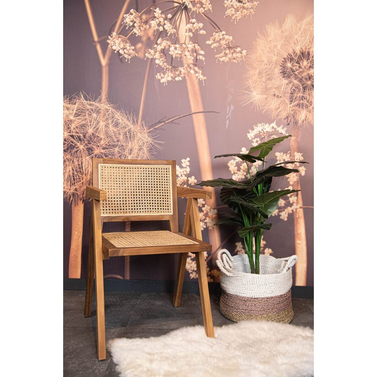 Eetkamerstoel van teakhout en rotan, bohemian stijl, geplaatst in een gezellige ruimte met planten.