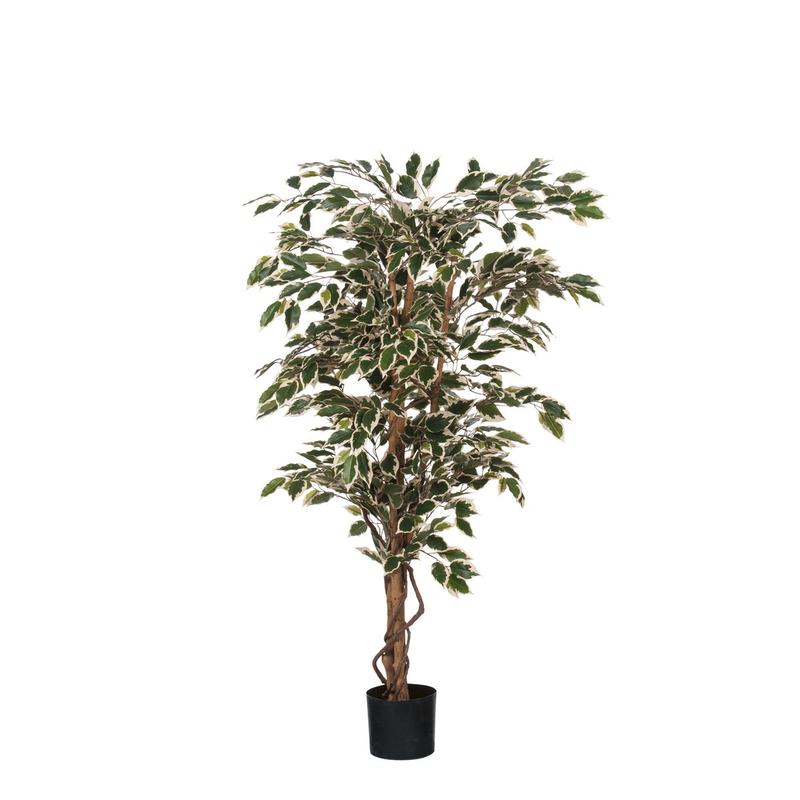 Ficus Kunstplant - H150 x Ø75 cm - Groen Bont-Kunst planten-Mica Decorations-Ik Hout ervan.