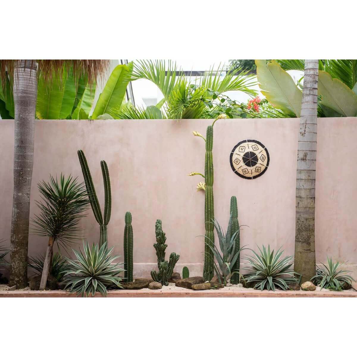 Alt Tag: "Sfeervolle muurdecoratie met het handgeweven Cozumel Bord, omgeven door cactusplanten en exotische palmen"