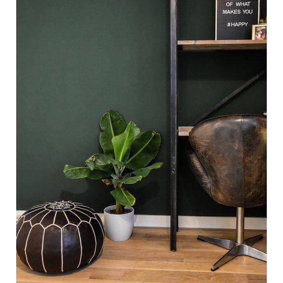 Zwarte handgemaakte leren poef in moderne woonkamer met groene muur en plant, perfecte boho toevoeging voor huisdecoratie.