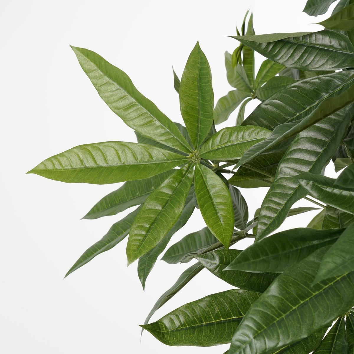 Pachira Kunstplant - H120 x Ø50 cm - Groen-Kunst planten-Mica Decorations-Ik Hout ervan.