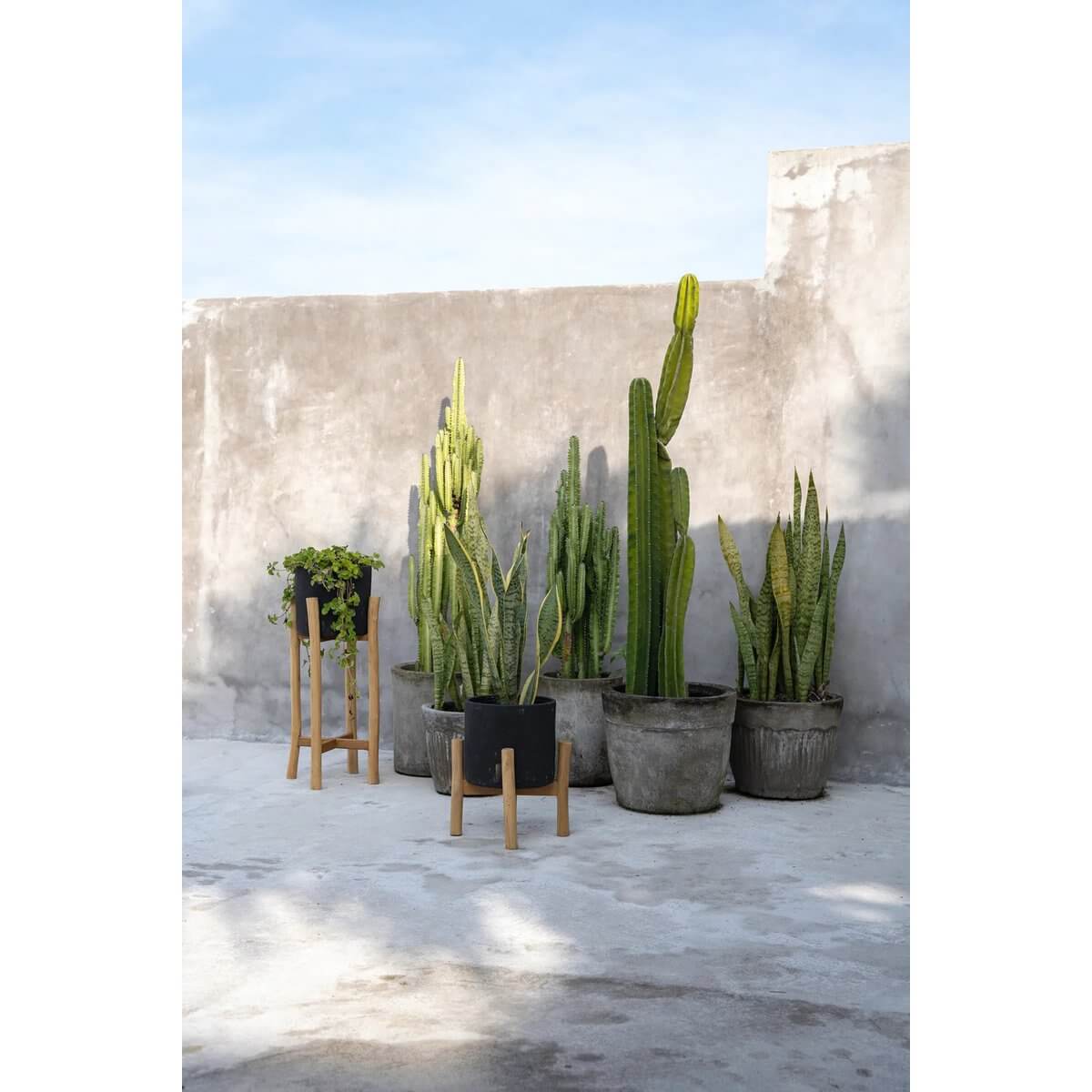 Bohemian-style garden with various green cacti planted in charcoal terracotta pots, adding a natural touch to a minimalist setting.
