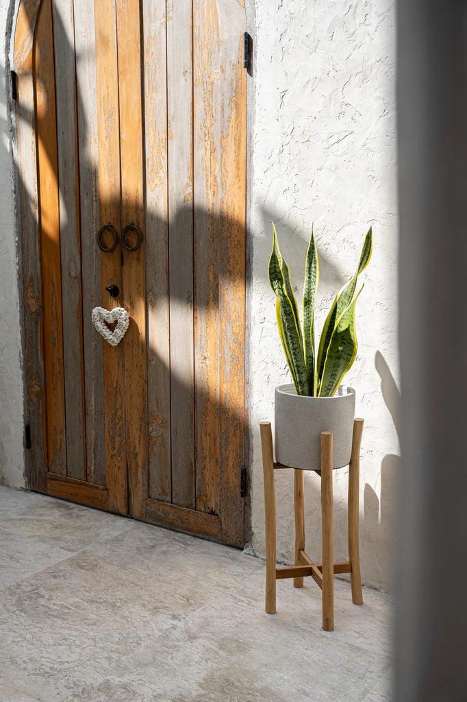 Terracotta plantenbak op teakhouten standaard bij houten deur, bohemian stijl - perfect voor plantenliefhebbers.