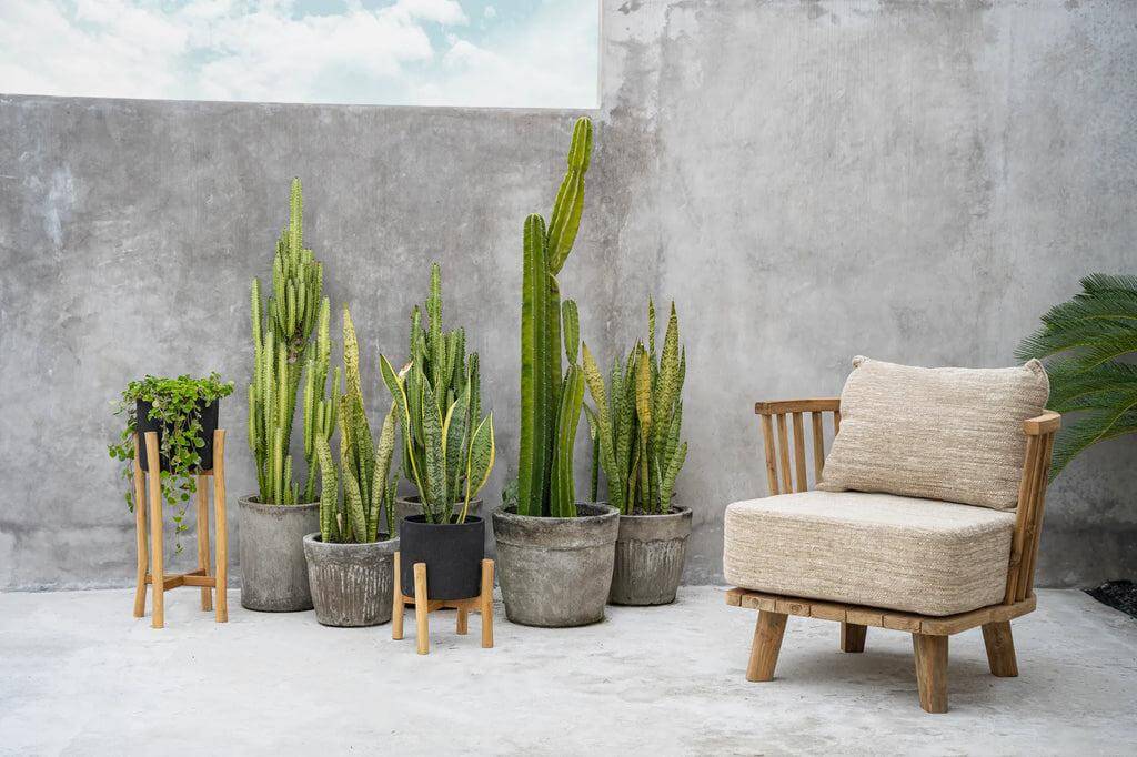 Stijlvolle boho vaas op teakhouten standaards, omringd door groene planten en een comfortabele stoel, perfect voor interieur upgrade.