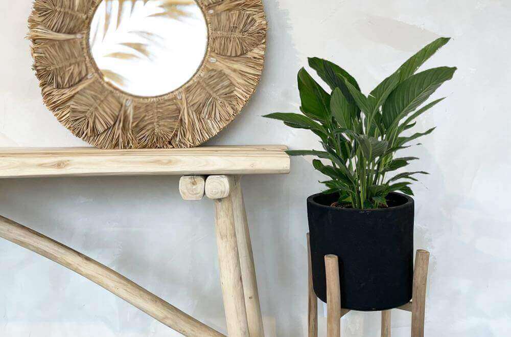 Boho vaas The Chalk High L met plant, ideaal om je interieur op te fleuren met natuurlijke Java teakhouten stijlelementen.