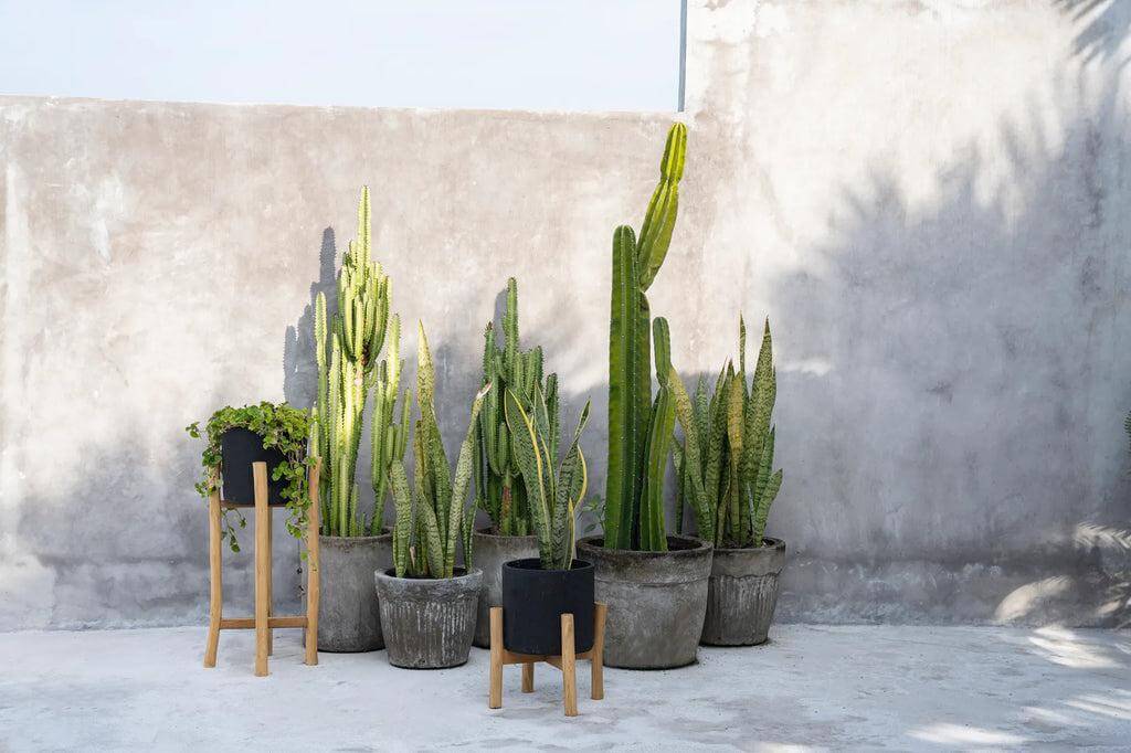 Planten in terracotta potten op houten standaarden naast muur, perfecte boho vaas voor plantenliefhebbers.