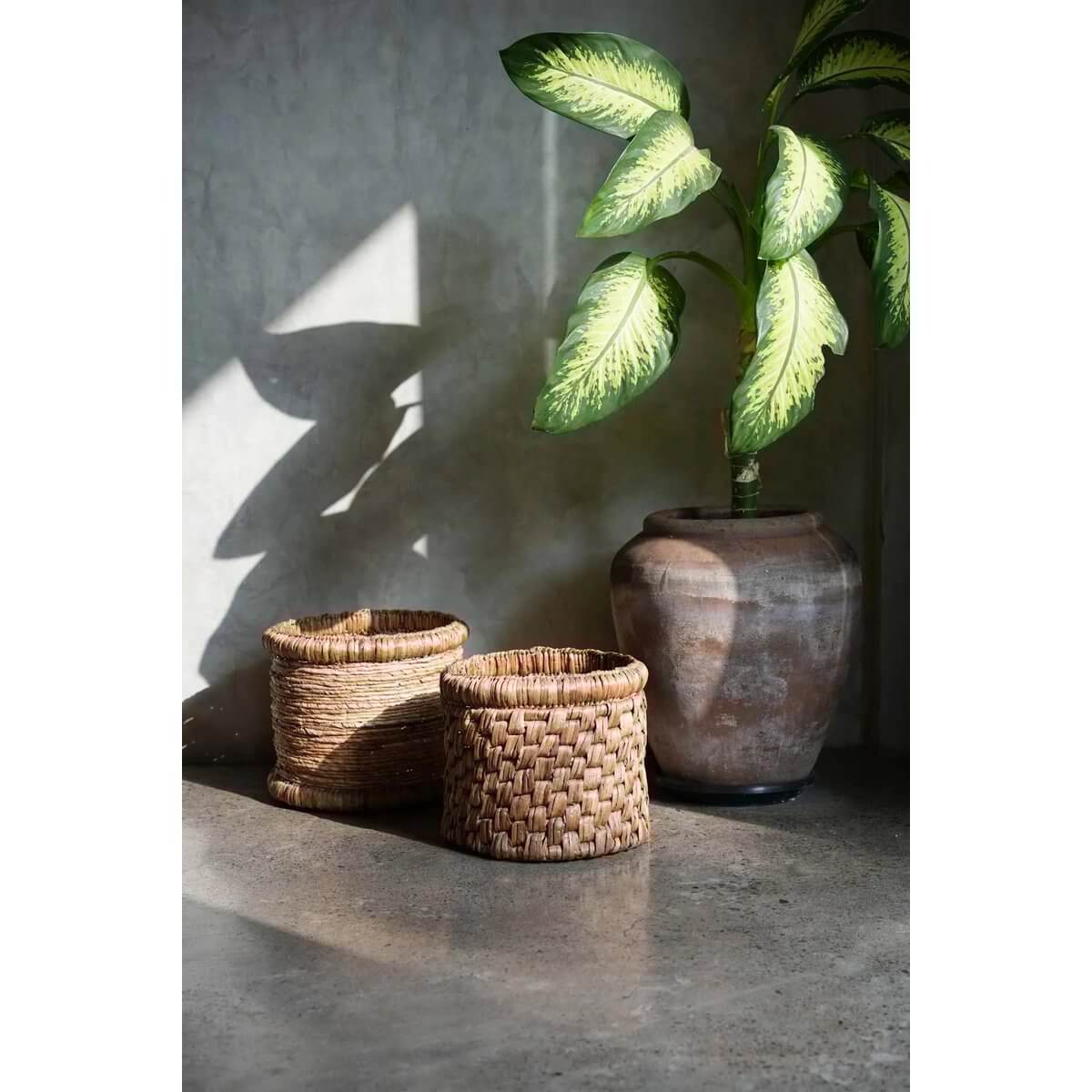 De Chuka-mand-Bazar Bizar Living-Ik Hout ervan.