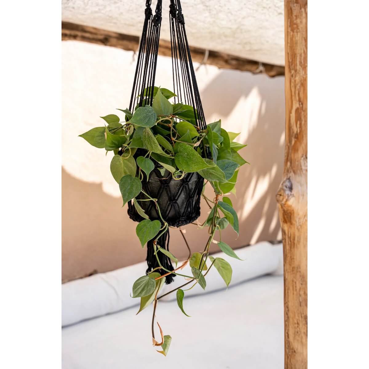 De Macrame Plantenhouder - Zwart - L
