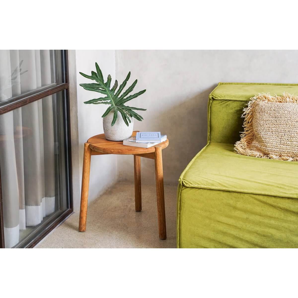 Bohemian vibe living room with a green sofa, wooden table, and decorative plant for a cozy, natural touch.