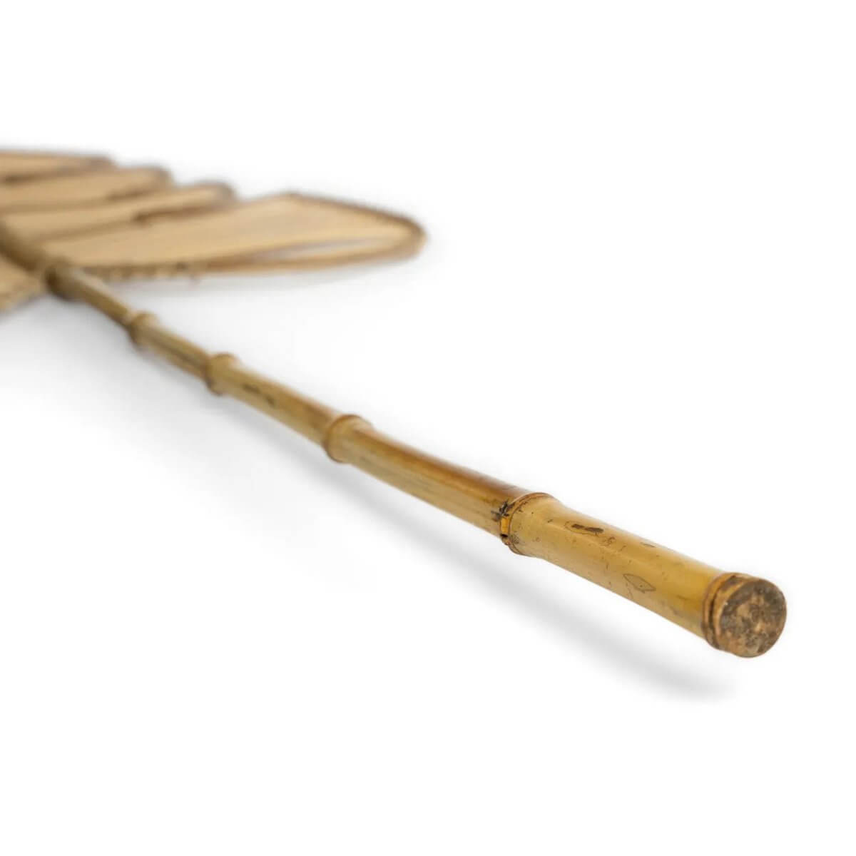 Close-up of the bamboo stem of De Rotan Monstera - Naturel, a bohemian decor piece by Bazar Bizar Living.