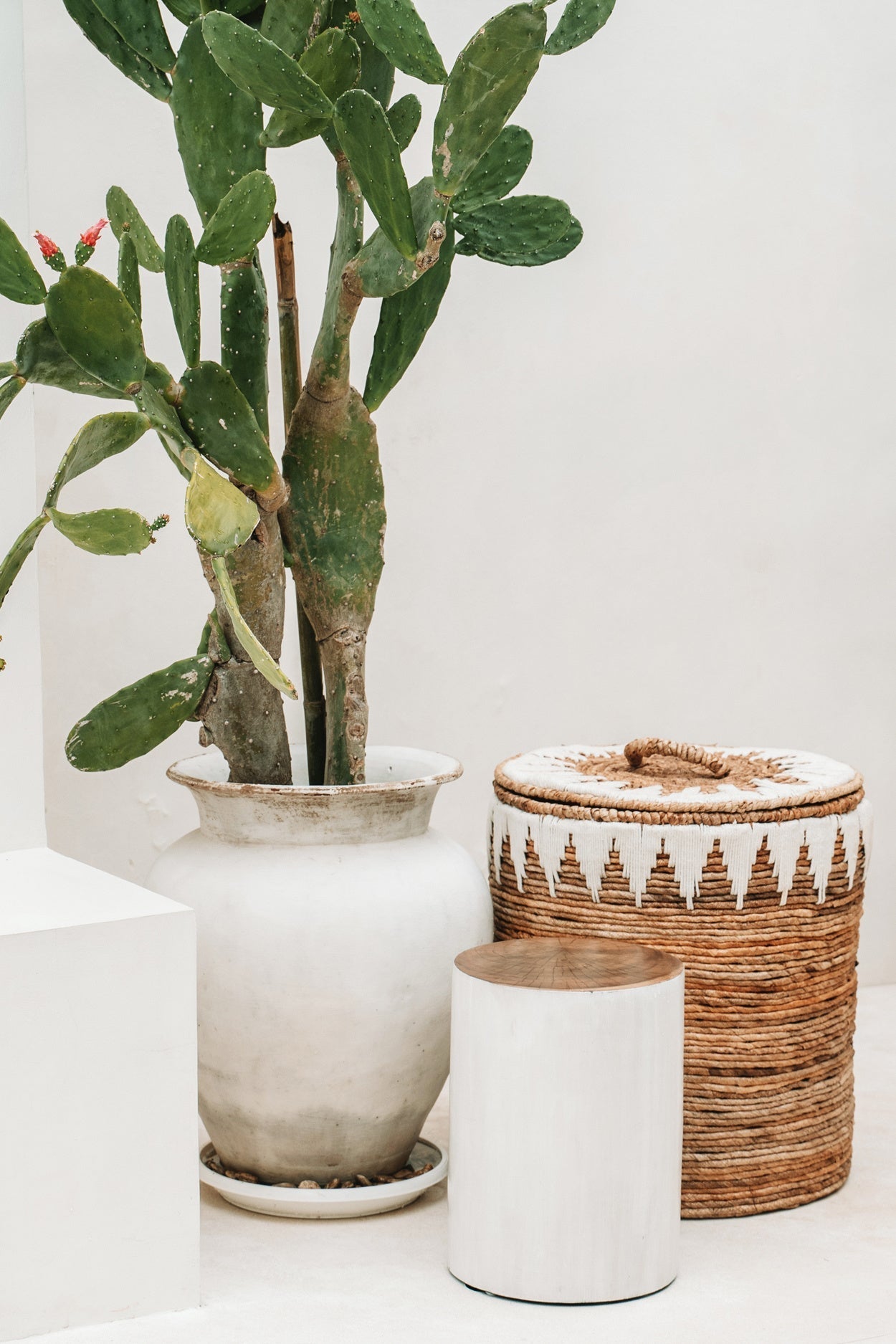 Stijlvolle De Tribe Kruk in naturel wit naast een cactus en rotan mand, perfect voor elk interieur.