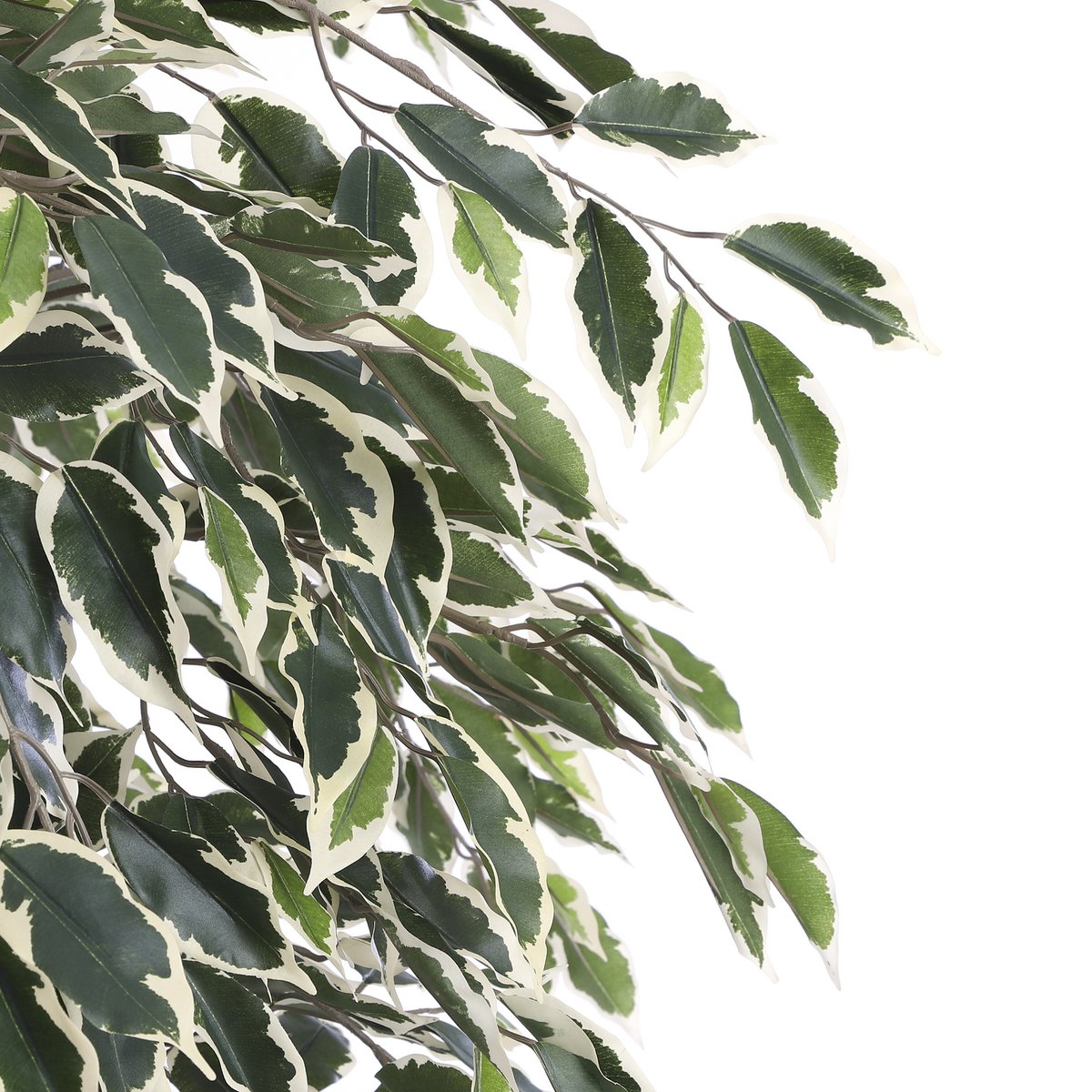 Ficus Kunstplant - H180 x Ø90 cm - Groen Bont-Mica Decorations-Ik Hout ervan.