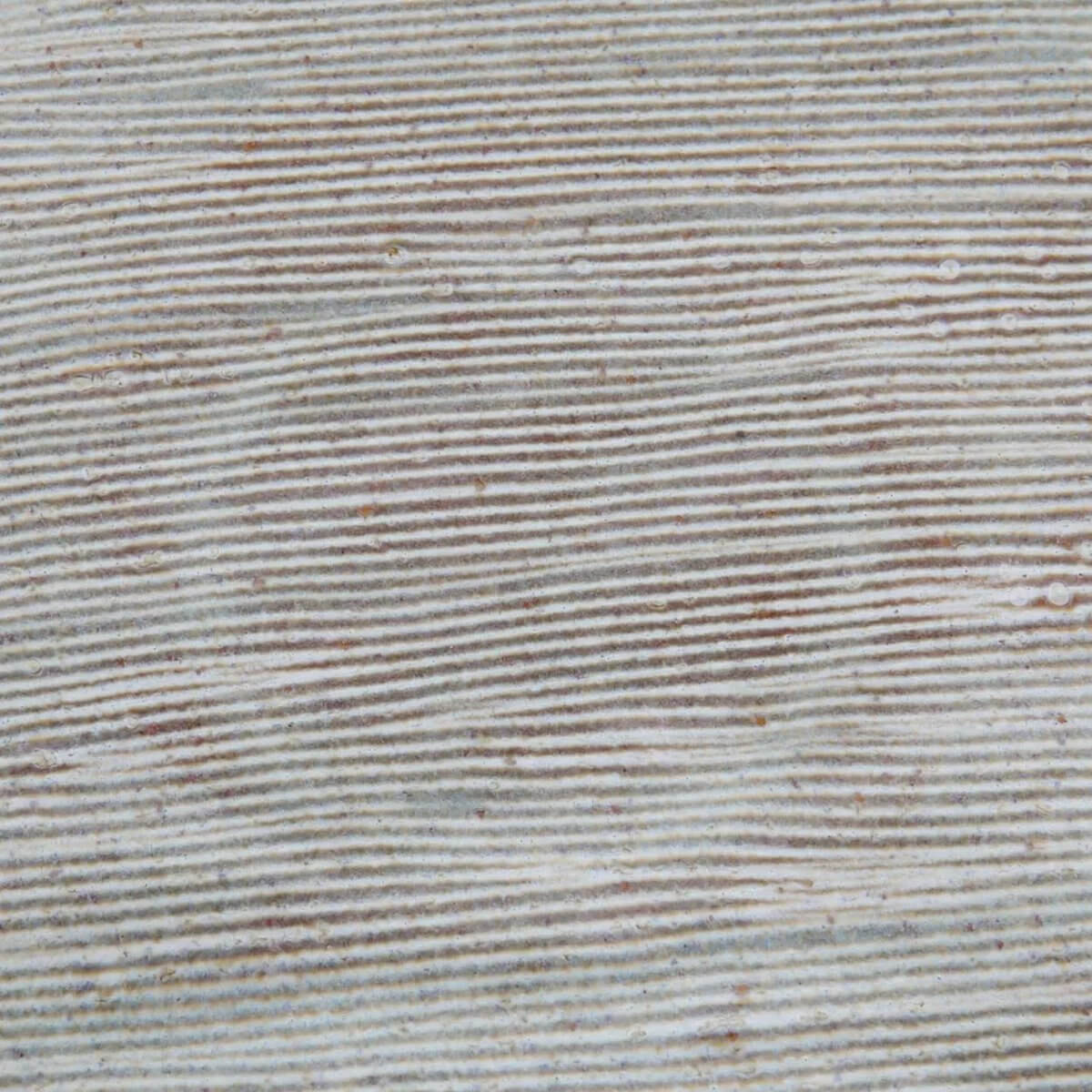 Close-up of Het Peniche dinerbord's texture, showcasing intricate coastal-inspired design in soft, earthy tones.