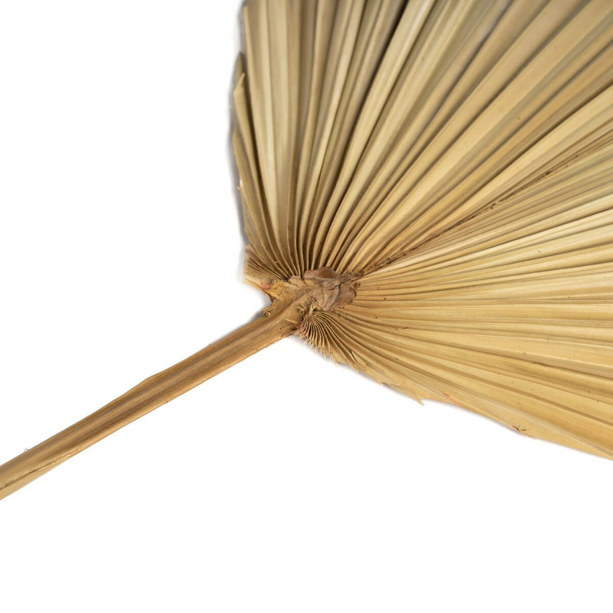 Het Rayung-blad - natuurlijk-Bazar Bizar Living-Ik Hout ervan.