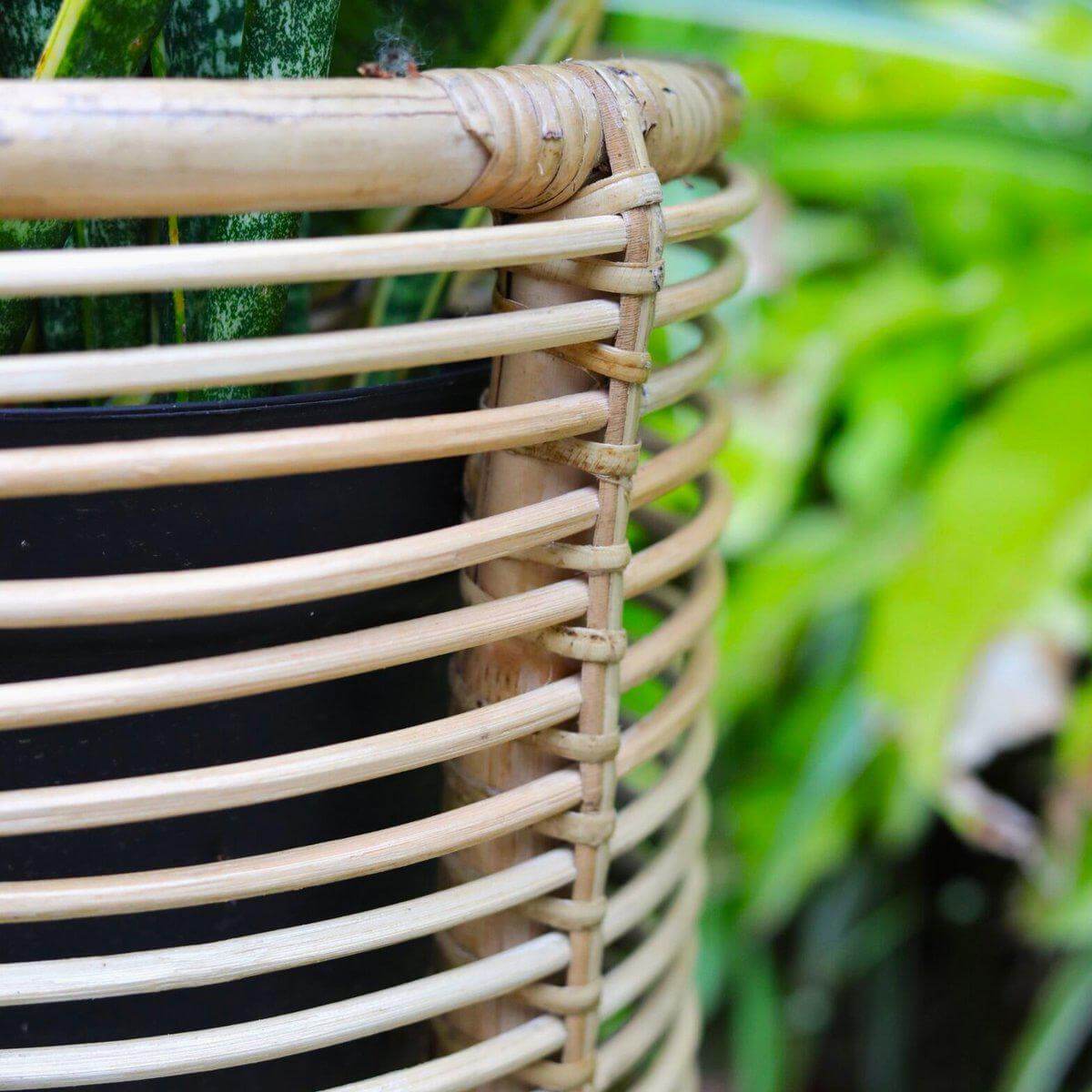 Rotan plantenstandaard met groen bladvormige plant, boho-stijl interieurdecoratie AKARA
