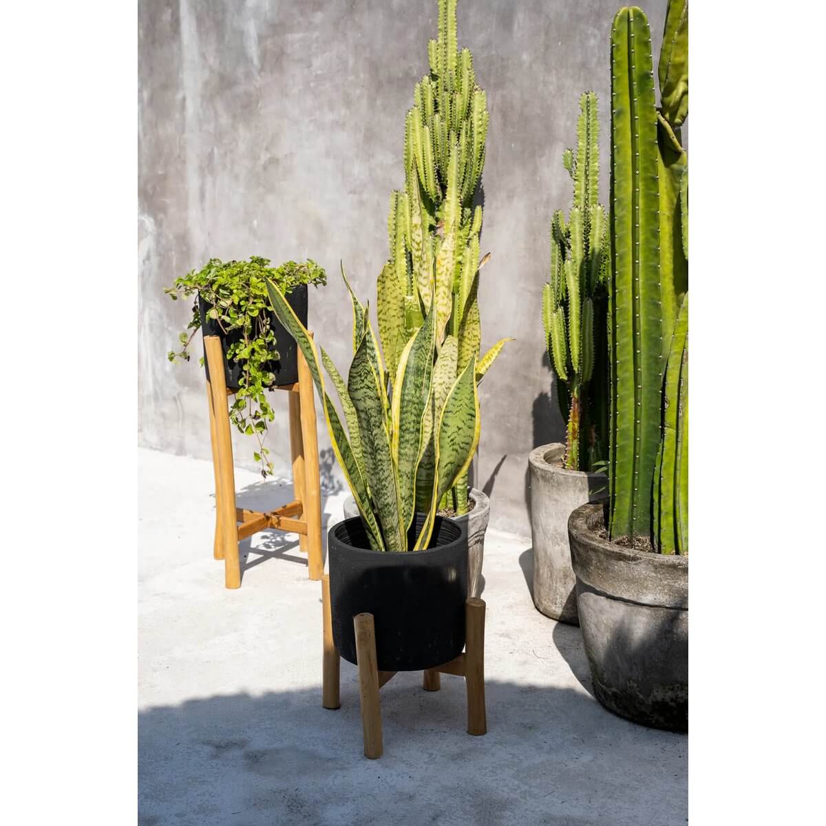 Bohemian style plant arrangement featuring the Charcoal Low - Zwart Naturel planter with terracotta base and lush greenery.