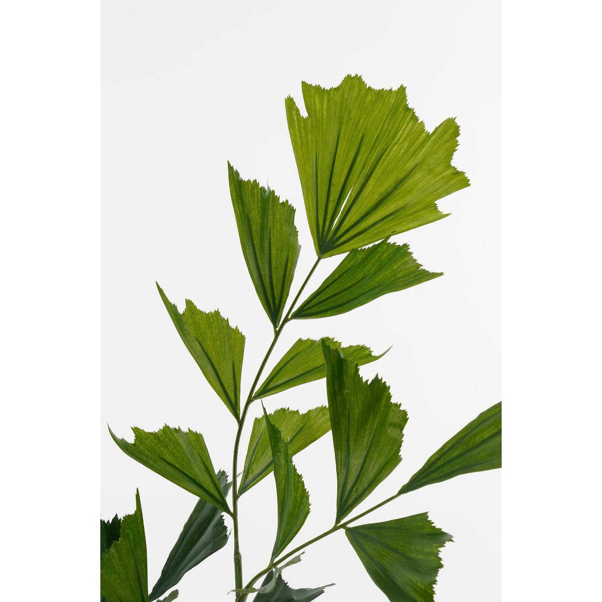 Vissenstaart Palm Kunstplant in Pot - H150 x Ø100 cm - Groen-Kunst planten-Mica Decorations-Ik Hout ervan.