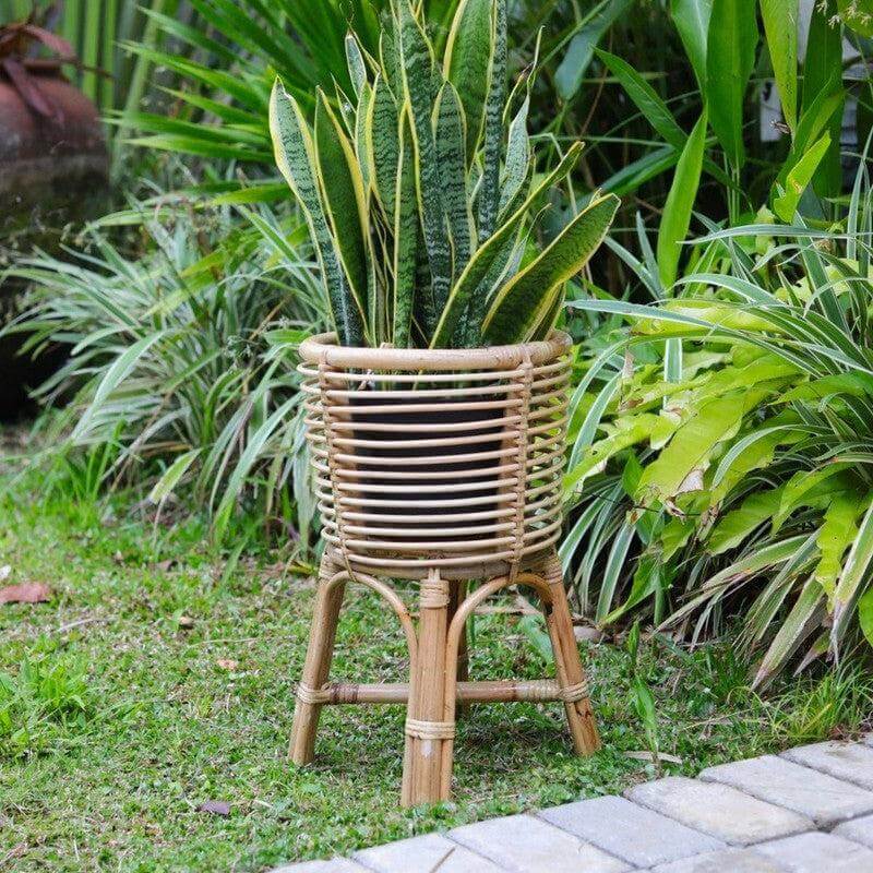 Rotan plantenstandaard met groene plant in een tuin, boho-stijl decor voor binnen en buiten.